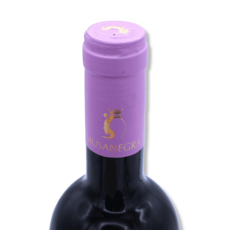 Sicilian Red Wine "Barefoot Feet" Syrah Cabernet I.G.P. 750ml - 
