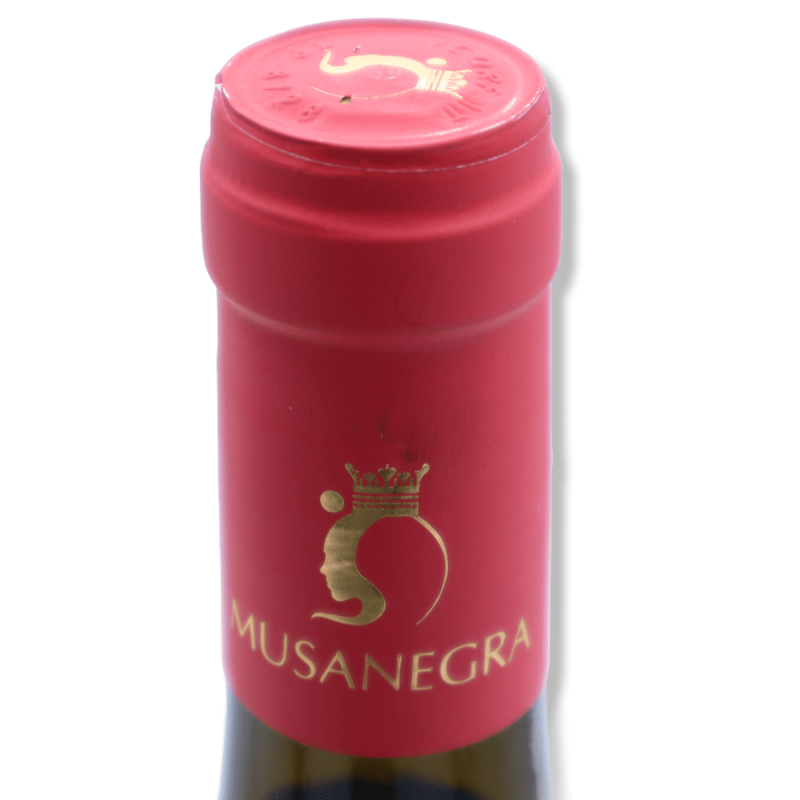 Nero d'Avola DOC Rotwein - 750 ml - 