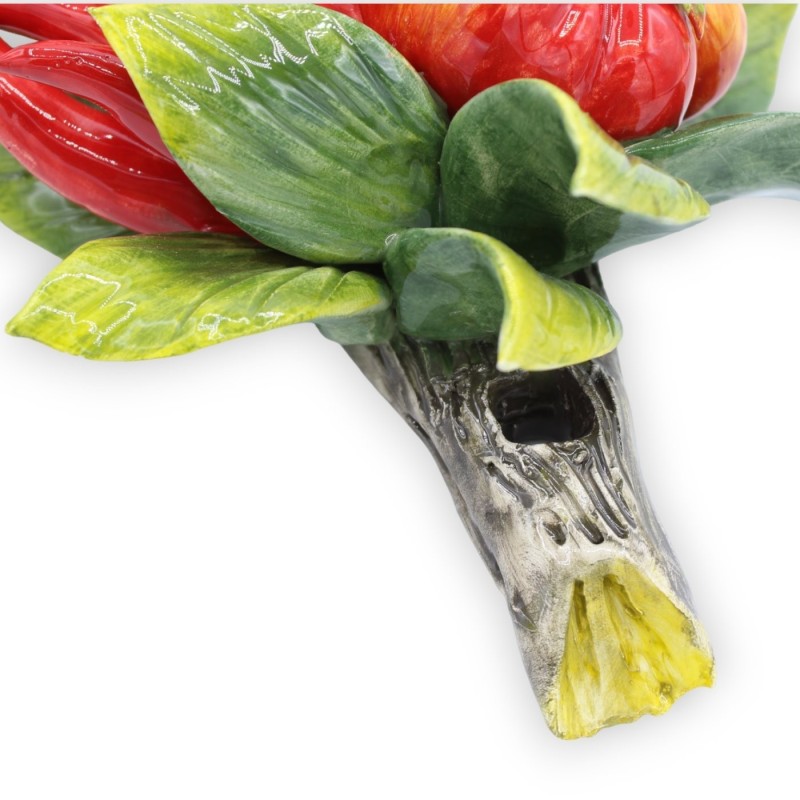 Paquet avec composition de tomates, ail et piments, H 40 x 18 cm environ. MD1 - 