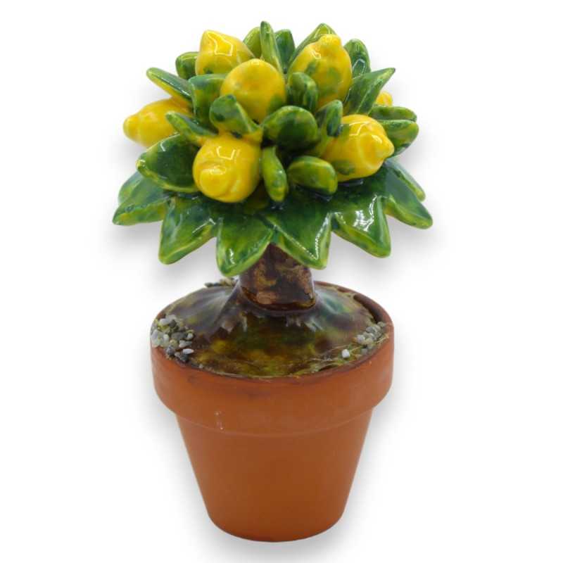 Vaso de cerâmica Caltagirone com planta de limão - h 12 cm aprox. - 