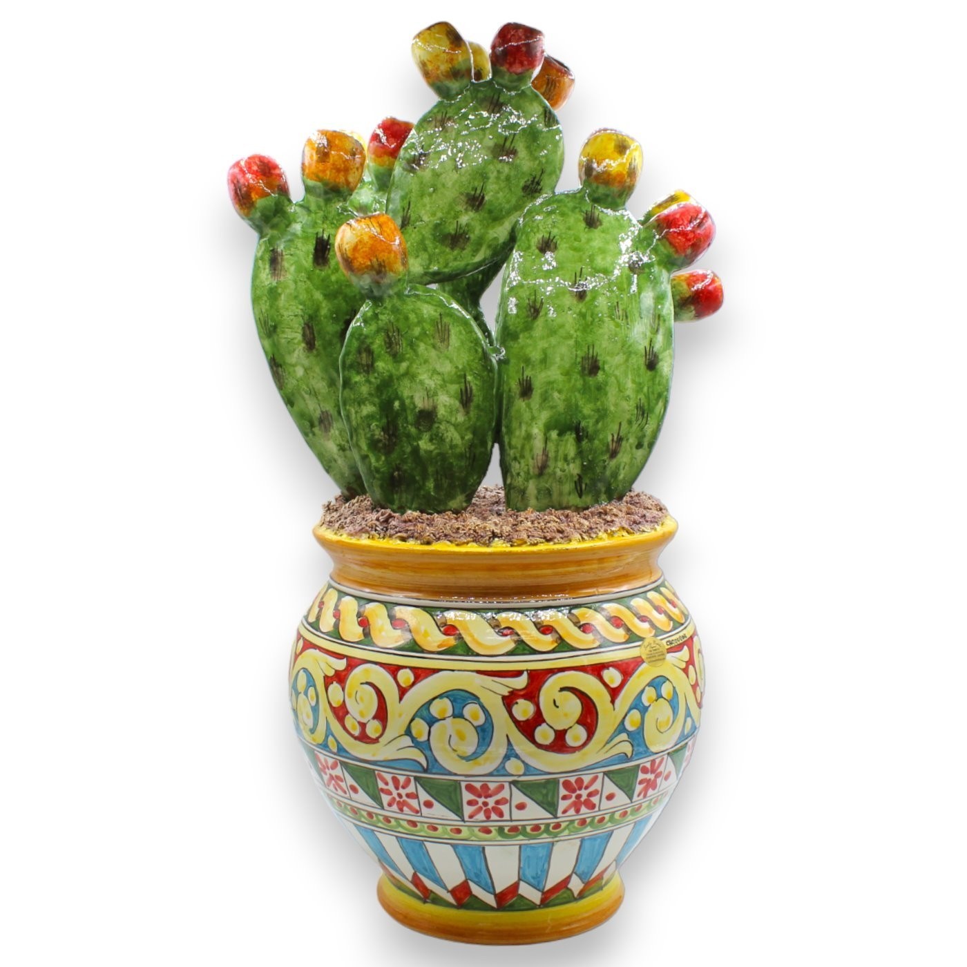 fico d india in vaso