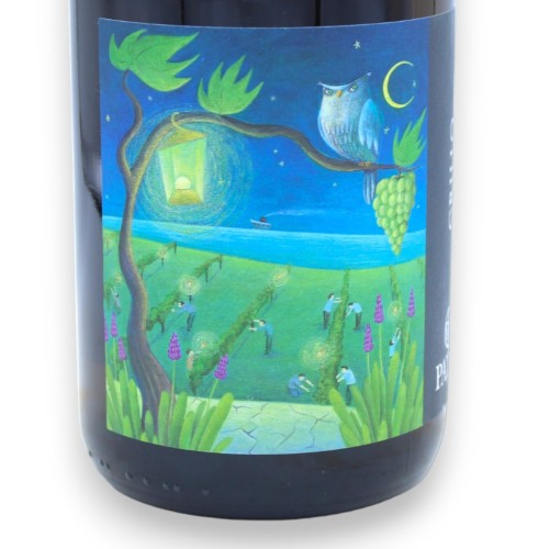 GRILLO - Siciliaanse witte wijn DOC - Vol. 13% - 750 ml -  2
