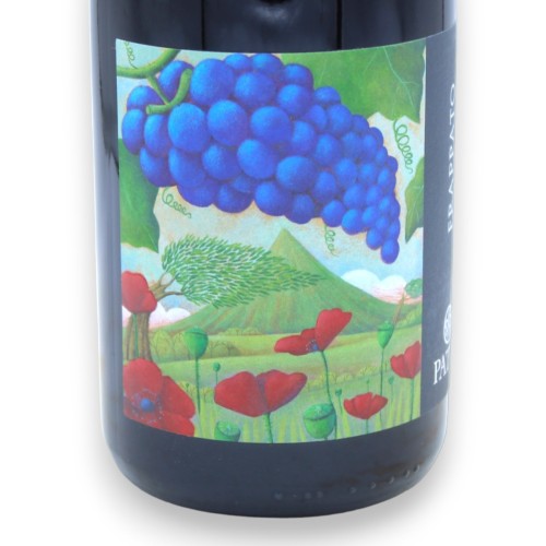 FRAPPATO - Siciliaanse rode wijn DOC - Vol. 13% - 750 ml -  2