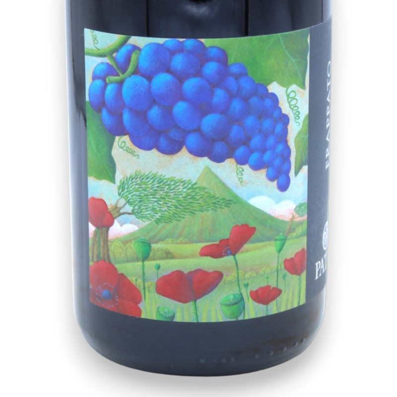 FRAPPATO - Siciliaanse rode wijn DOC - Vol. 13% - 750 ml - 