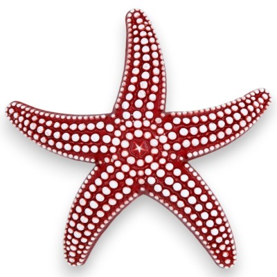 Étoile de mer avec reliefs, en céramique sicilienne, trois options de taille et deux options de couleurs (1pc) - 