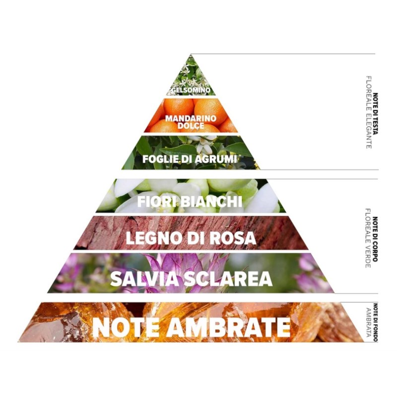 ZUMA Gelsomino Colony w różnych formatach - 