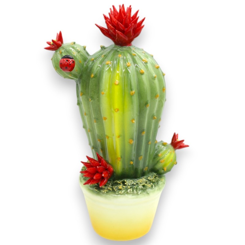 Plante succulente en pot, céramique fine, h env. 22 cm (1 pièce) - modèles et décorations assortis - 