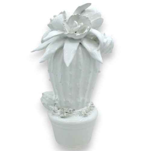 Pianta grassa in vaso, pregiata ceramica, h 22 cm ca (1Unità) - Monocolore - 