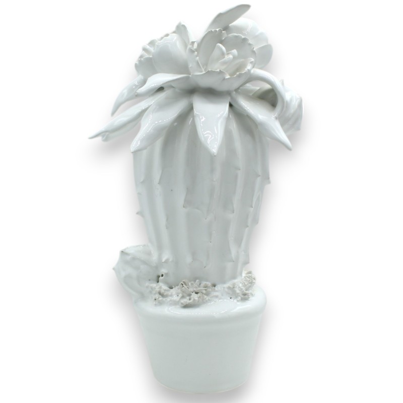 Succulent plant in pot, fine ceramic, h 22 cm approx. (1pc) - Single colour - 