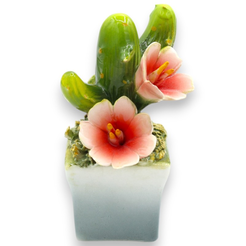 Plante succulente en pot, céramique fine, h env. 14 cm (1 pièce) - modèles et décorations assortis - 