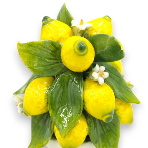 Citronpyramidväxt i kruka, högkvalitativ keramik, h ca 11 cm (1st) -  2