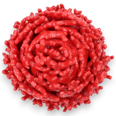 Composición de coral con tallo, en cerámica fina, h 26 x 23 cm aprox. Un solo color rojo - 
