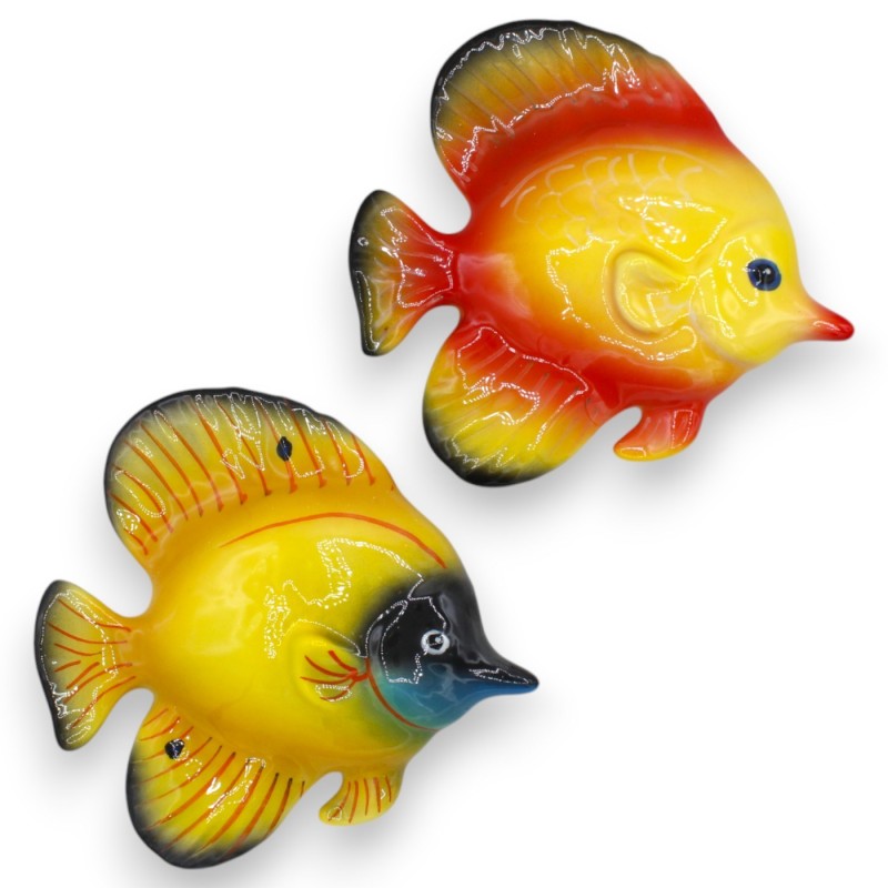 Pesce Esotico dal muso a punta, da Parete, pregiata ceramica, h 16 x 17 cm ca. (1Unità) colore Casuale - 