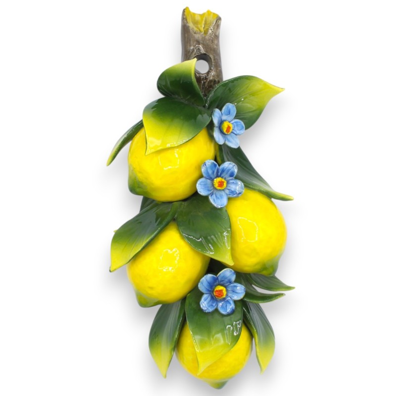 Bundel met 4 middelgrote citroenen en...