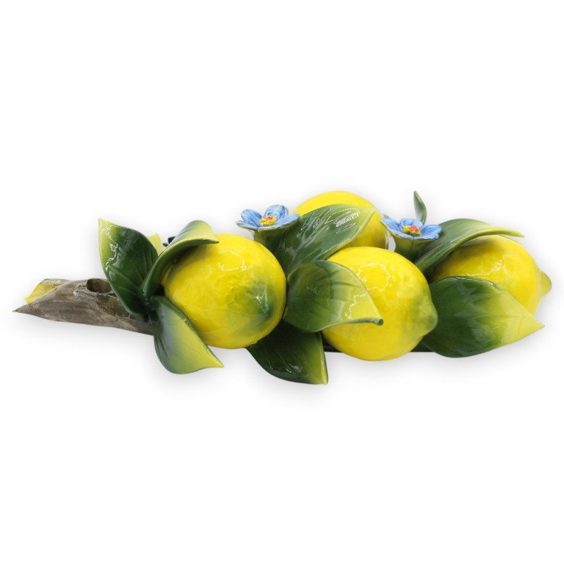 Zestaw z 4 średnimi cytrynami i...