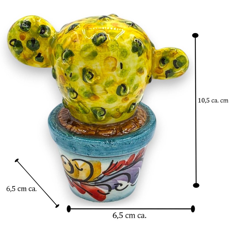 Succulent plant in a pot, Caltagirone...