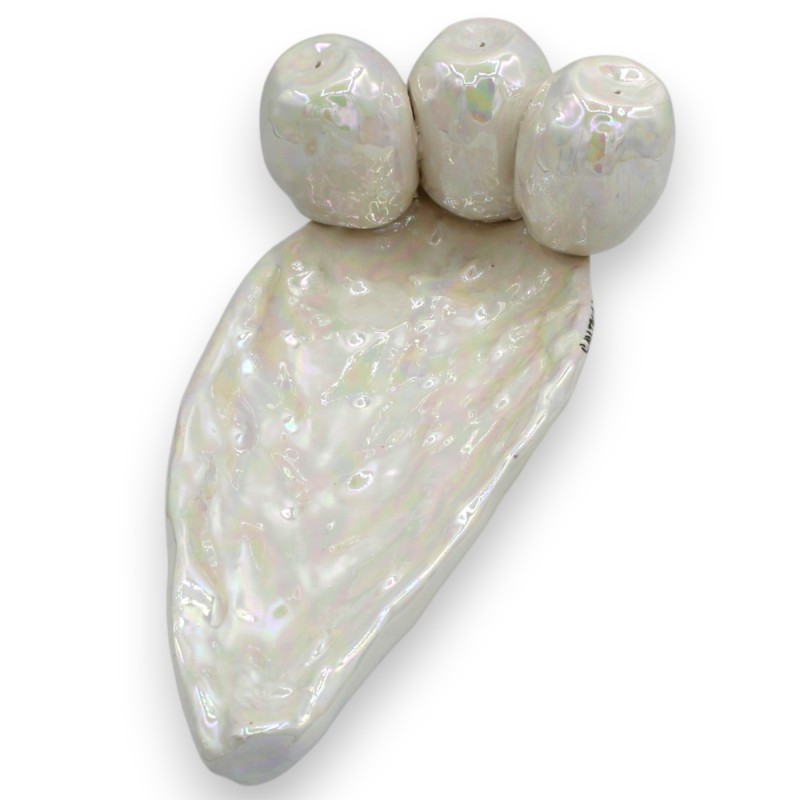 Pala de nopal con bolsillos vacíos,...